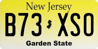 NJ license plate B73XSO