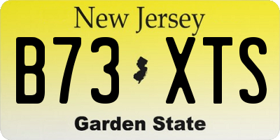 NJ license plate B73XTS
