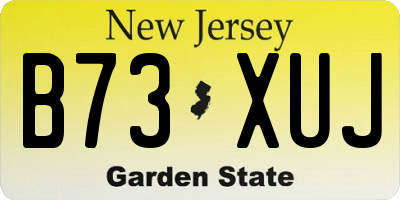NJ license plate B73XUJ