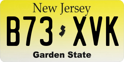 NJ license plate B73XVK