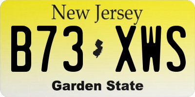 NJ license plate B73XWS