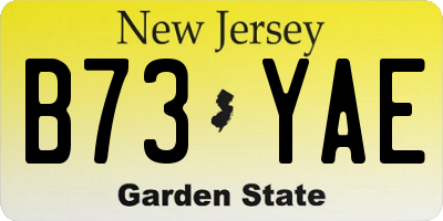 NJ license plate B73YAE