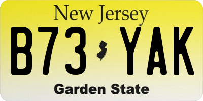 NJ license plate B73YAK