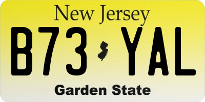 NJ license plate B73YAL