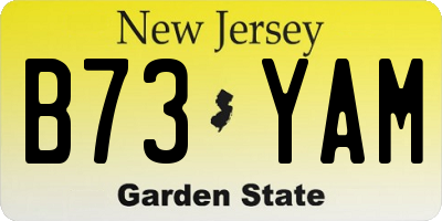 NJ license plate B73YAM