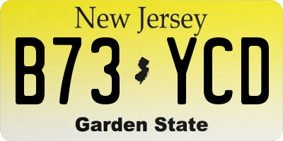 NJ license plate B73YCD