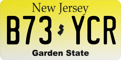 NJ license plate B73YCR