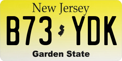 NJ license plate B73YDK