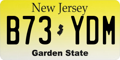NJ license plate B73YDM
