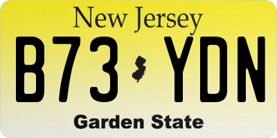 NJ license plate B73YDN