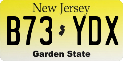 NJ license plate B73YDX