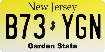 NJ license plate B73YGN