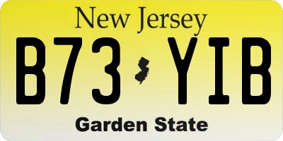 NJ license plate B73YIB