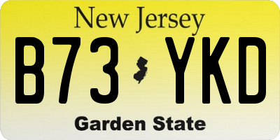 NJ license plate B73YKD