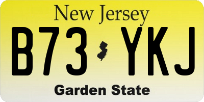 NJ license plate B73YKJ