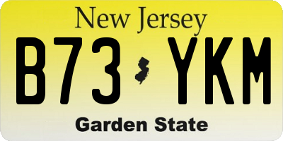 NJ license plate B73YKM