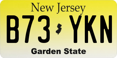 NJ license plate B73YKN