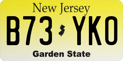 NJ license plate B73YKO