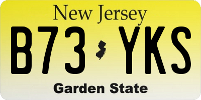 NJ license plate B73YKS