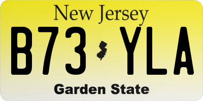 NJ license plate B73YLA