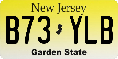 NJ license plate B73YLB