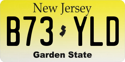 NJ license plate B73YLD