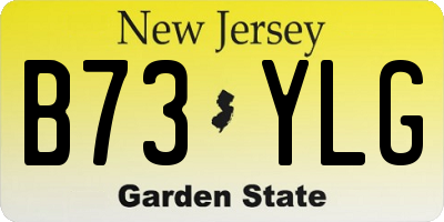 NJ license plate B73YLG