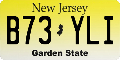 NJ license plate B73YLI