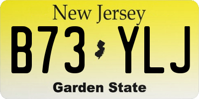NJ license plate B73YLJ