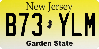 NJ license plate B73YLM