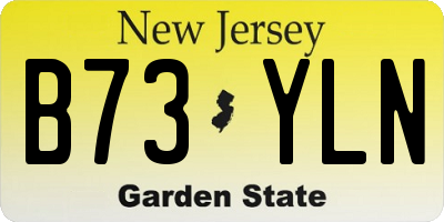NJ license plate B73YLN