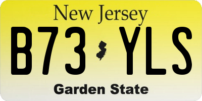 NJ license plate B73YLS