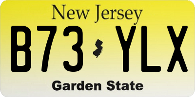 NJ license plate B73YLX