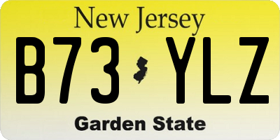 NJ license plate B73YLZ