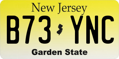 NJ license plate B73YNC
