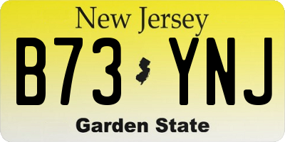 NJ license plate B73YNJ