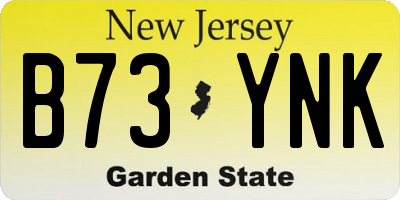 NJ license plate B73YNK
