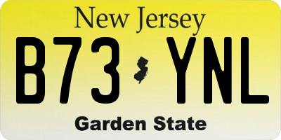 NJ license plate B73YNL