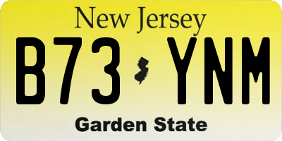 NJ license plate B73YNM