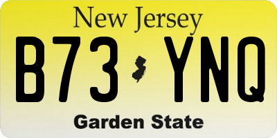 NJ license plate B73YNQ