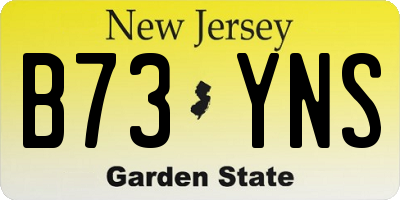 NJ license plate B73YNS
