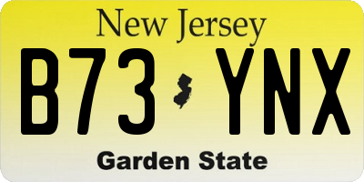 NJ license plate B73YNX