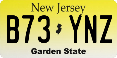 NJ license plate B73YNZ
