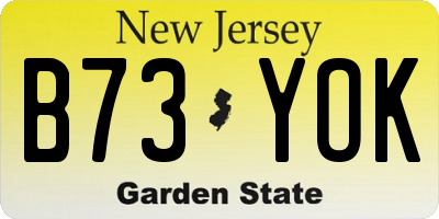 NJ license plate B73YOK