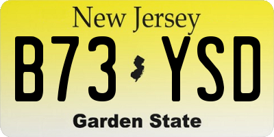NJ license plate B73YSD