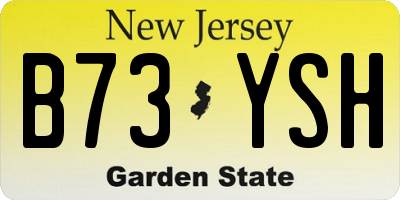 NJ license plate B73YSH