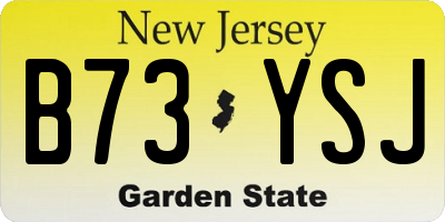 NJ license plate B73YSJ