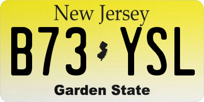 NJ license plate B73YSL