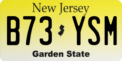 NJ license plate B73YSM