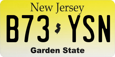 NJ license plate B73YSN